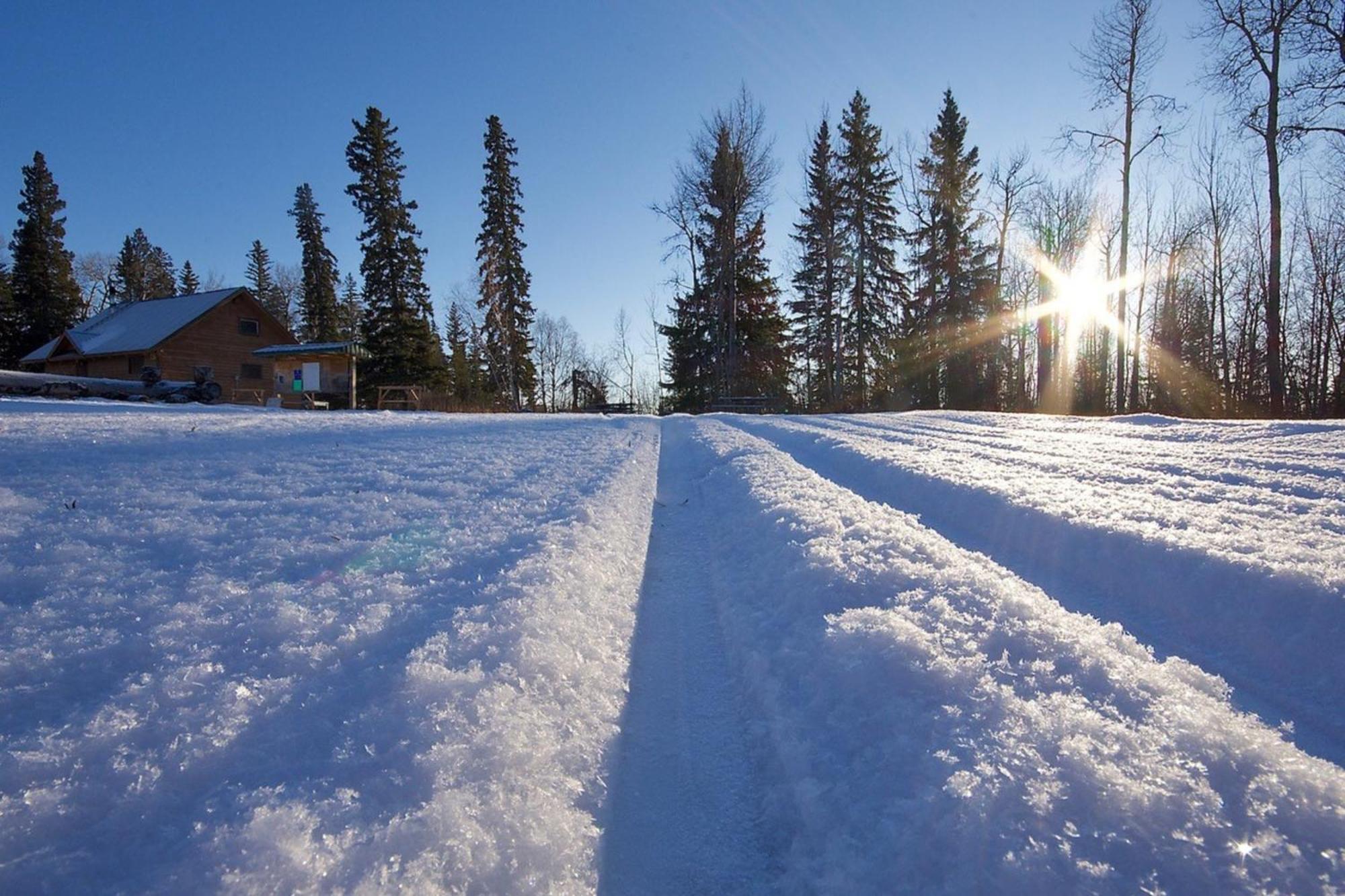 Holiday Inn Express & Suites Drayton Valley By Ihg Dış mekan fotoğraf